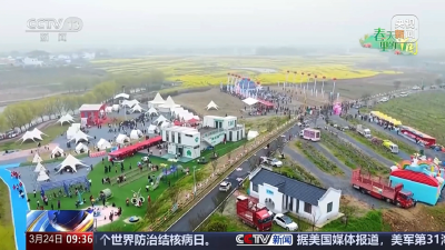 央视关注孝昌：桃花朵朵开 赏花流量变消费增量