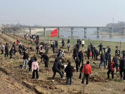 孝昌白沙：春风添新绿 植绿护家园