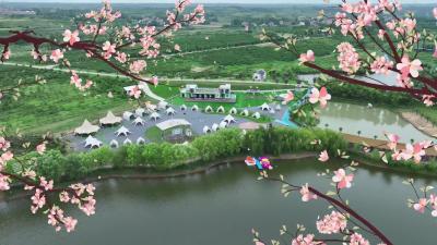 在那桃花盛开的地方.mp4