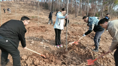 孝昌：万名干群共植青绿  绘就和美乡村新卷