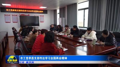 农工党孝昌支部传达学习全国两会精神