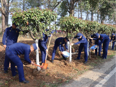 孝昌：春风植树添新绿 防火守林记心间
