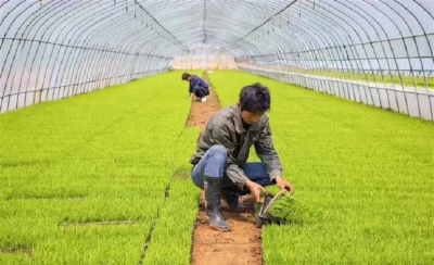 全省典型案例，孝昌+1