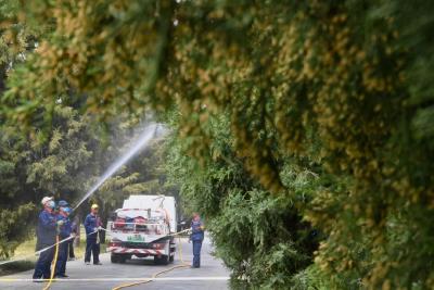 花粉季来袭！出现这些状况，千万别硬扛→