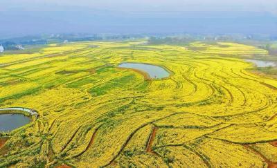 桃花灼灼，我和孝昌有个约会