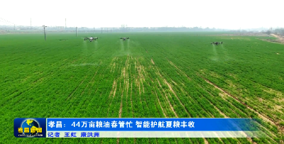 孝昌：44万亩粮油春管忙 智能护航夏粮丰收