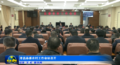 孝昌县委农村工作会议召开 