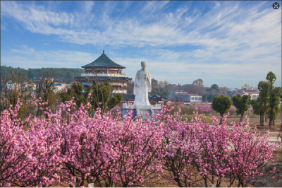 乡约孝昌  寻梦花缘——春游孝昌线路推介