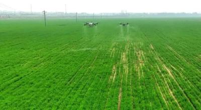 新华社关注孝昌：沃野千里逐春光——荆楚大地春管见闻 