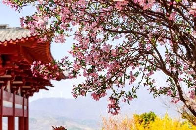 一不留神，观音湖的春天就美成这样→ 