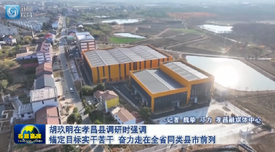 胡玖明在孝昌县调研时强调 锚定目标实干苦干 奋力走在全省同类县市前列 