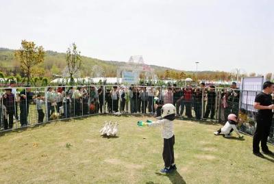 新华社关注孝昌丨“赏花经济”开出“四季春”