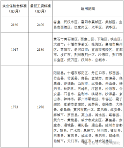 湖北省调整失业人员失业保险金发放标准