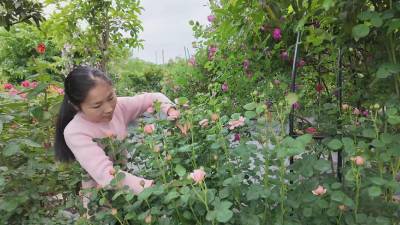 孝昌丰山：方寸花海藏初心  巧手耕耘致富路