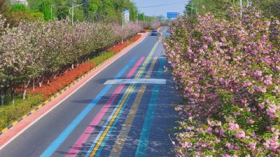 孝昌：美丽公路小观线 路景融合助振兴