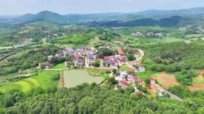 三月三，青山口里唱大戏