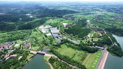 孝昌：春染小观线 美景助振兴