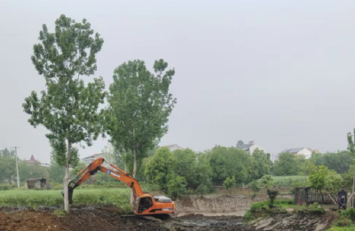 孝昌邹岗：“千渠万沟”在行动 水清岸绿润民心