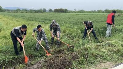孝昌丰山：群众自发清沟渠  筑牢农田灌溉线 