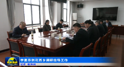 李惠芬到花西乡调研指导工作 