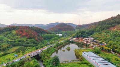 孝昌这个宝藏乡村，五一吃喝玩乐全安排！