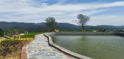 孝昌小悟：和美乡村入画来