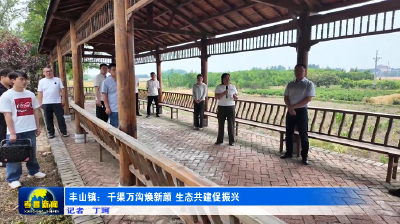 孝昌丰山：千渠万沟焕新颜 生态共建促振兴