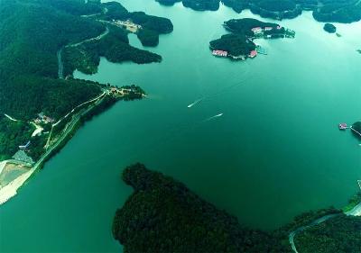 观音湖的初夏是一个巨大的绿色能量场，吸氧、放松、采摘，惬意满分！ 