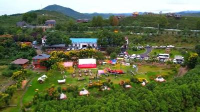 孝昌周巷乡村旅游片区：从“卖茶叶”到“卖风景”