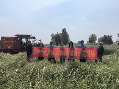 县农业农村局：推动油菜机收减损技术落地见效 全力保障夏收油菜颗粒归仓