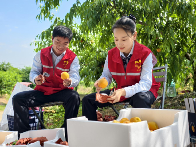 孝昌：云端带货助丰收 高速赋能促振兴 