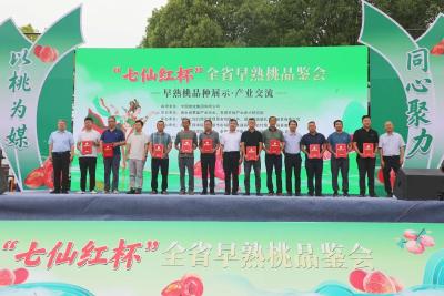 孝昌桃子香飘全国背后的产业跃升