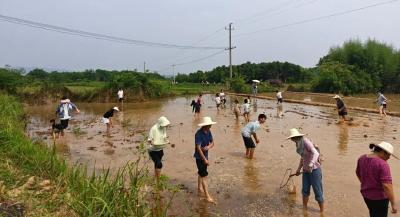 插秧、摸鱼、拔河……田间撒野的快乐谁懂啊~