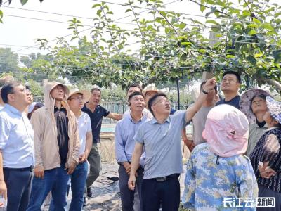 进入夏季梨树关键管理期 湖北开展棚架栽培技术培训