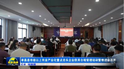 孝昌县市级以上农业产业化重点龙头企业信用合规管理培训暨推进会召开