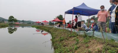 大悟宣化店镇举办龙虾垂钓节吸引众多游客体验
