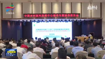 大悟县举办乡村振兴专题辅导报告会