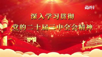 2024年8月9日大悟新闻完整版