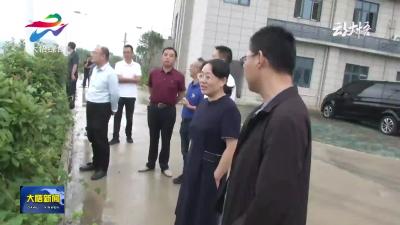 县人大常委会视察环境保护暨长江流域生态环境保护修复情况