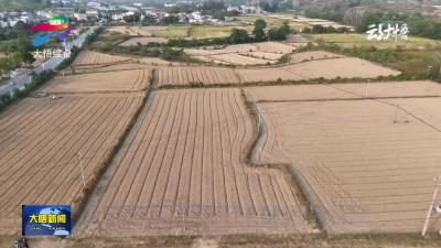 城关镇：机械化秋冬播种 助力油菜增收