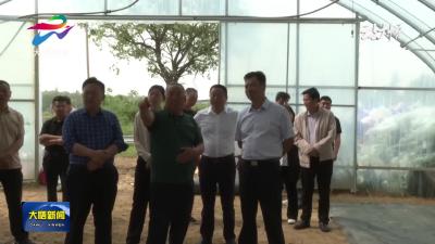 县人大开展农业技术推广法执法检查