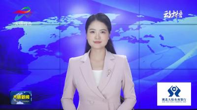 【守住钱袋子•护好幸福家】大悟县多部门联合开展2025年“安全宣传咨询日”活动