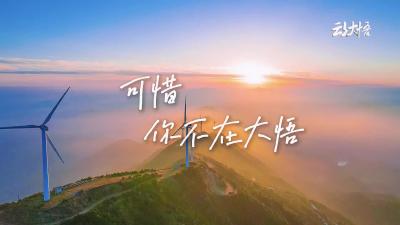 可惜你不在大悟