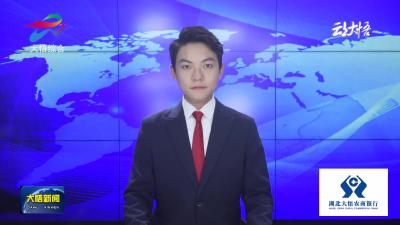 【铭记历史 缅怀先烈】大悟：铁血护青山 鱼水情更浓