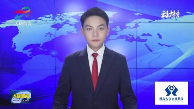 【弘扬大别山精神 聚力建支点】“薪火爷爷”陈义万：薪火相传守初心 红色精神谱新篇