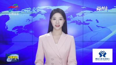 大悟县举行青年干部主题辩论赛决赛