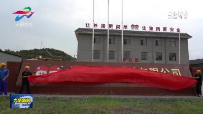 大悟星弘饲料有限公司正式揭牌