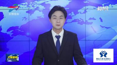 县领导调研重点项目建设工作