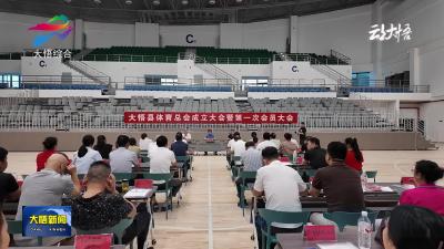 【简讯】大悟县体育总会正式成立