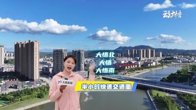 大悟南 大悟 大悟北 三座收费站 构建半小时快速交通圈